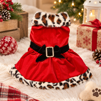Festive Leopard Trim Dog Dress
